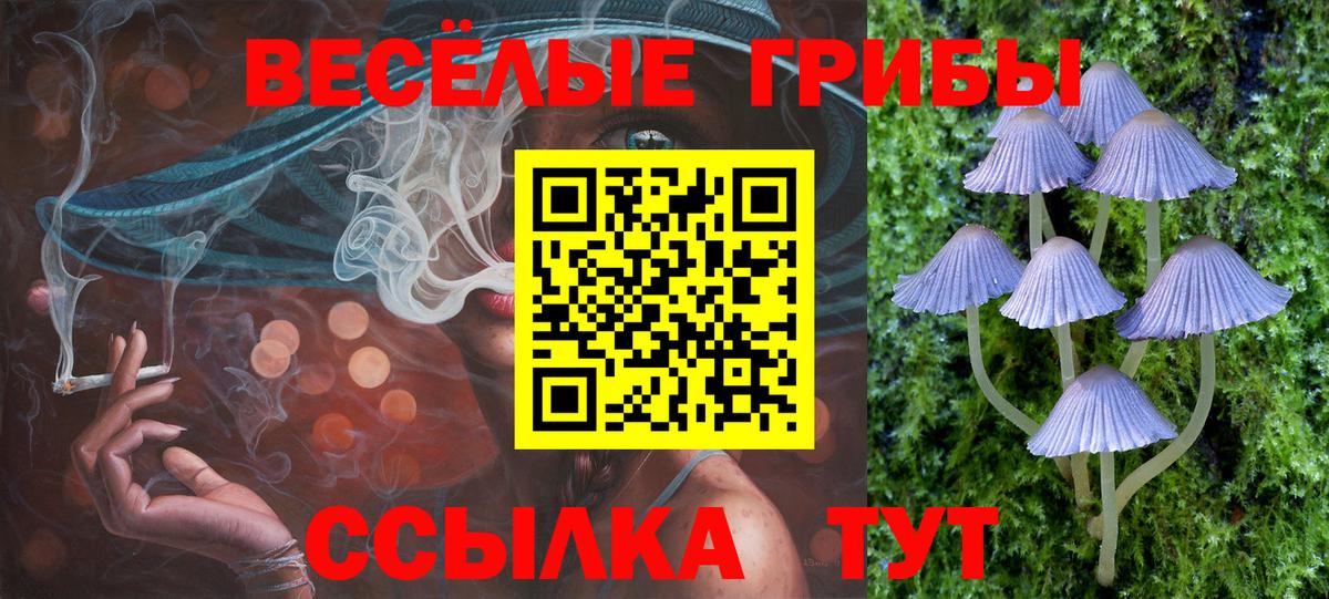 Псилоцибиновые грибы Psilocybe Златоуст