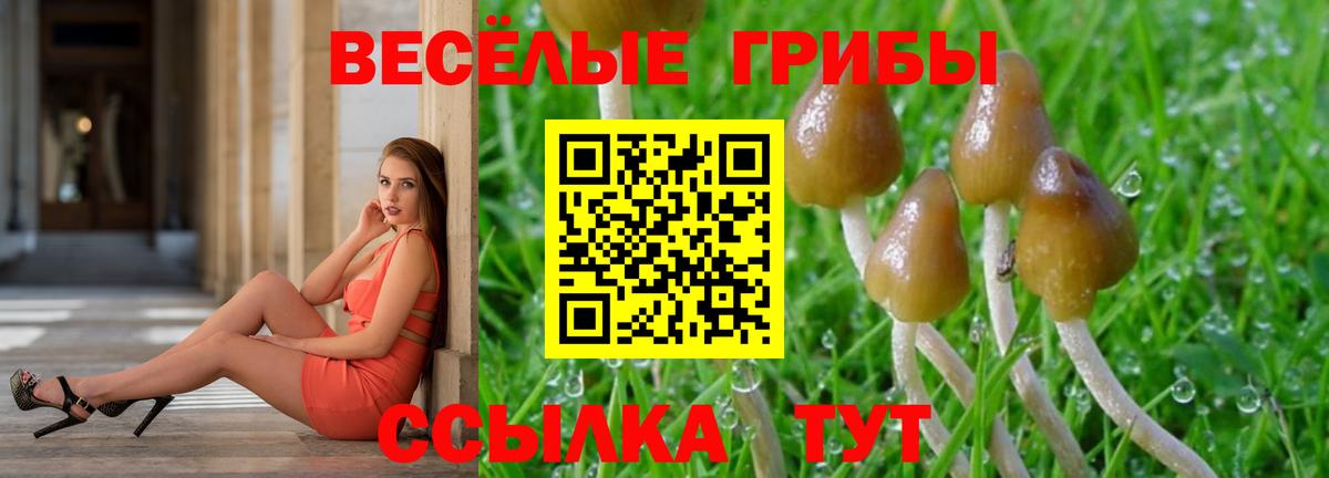 Златоуст  Псилоцибиновые грибы Psilocybine cubensis  Вход с VPN 